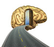 road entering a brain to get drivers to think